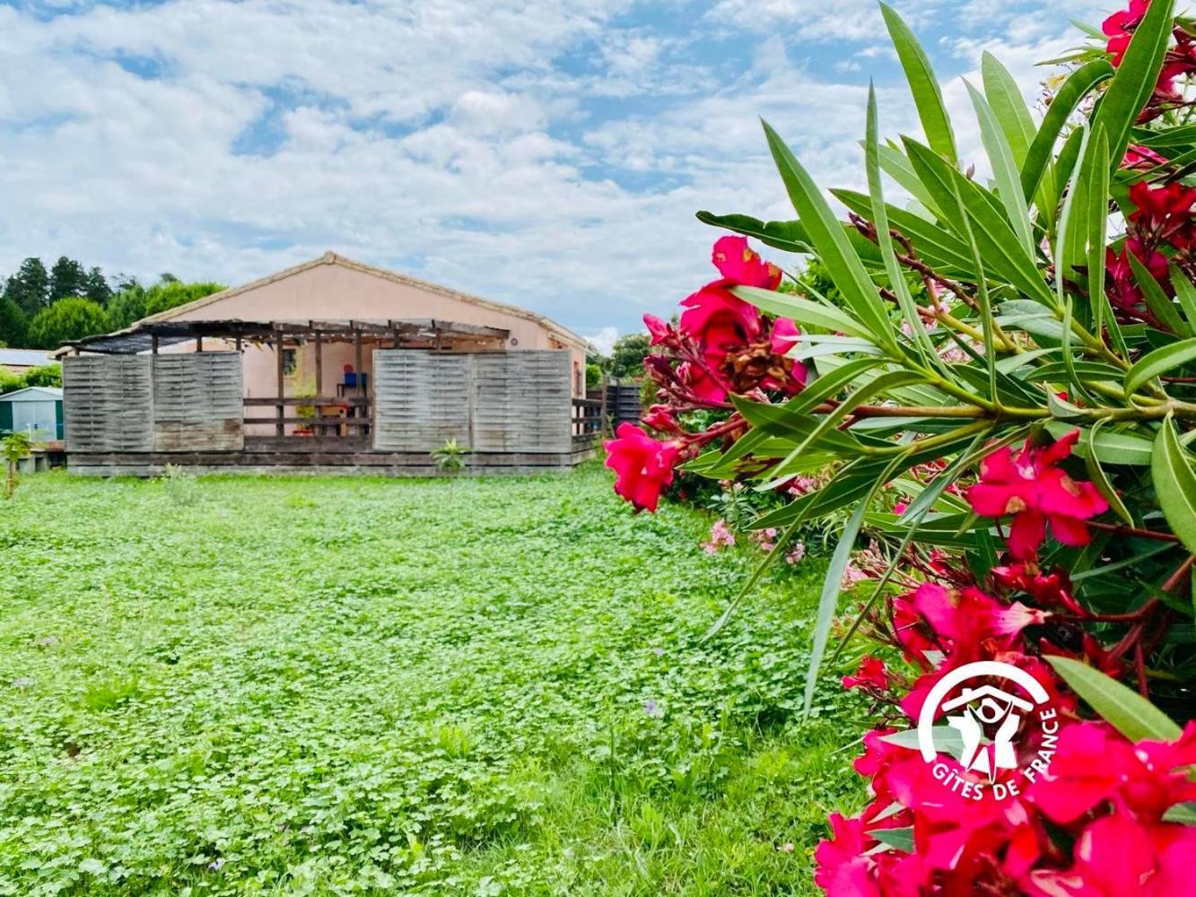 Le Cosy Occitan Villa Chaleureuse Independante Baignoire Terrasse Jardin Каркассон Экстерьер фото